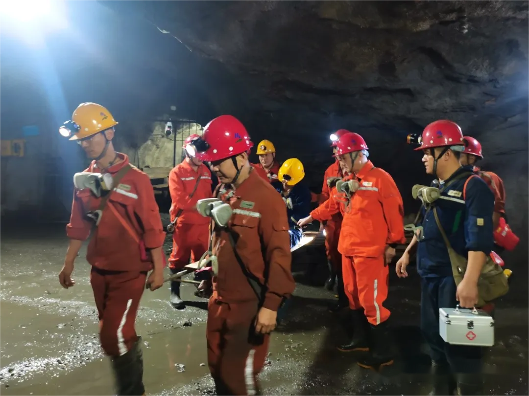 Z6·尊龙凯时「中国区」官方网站