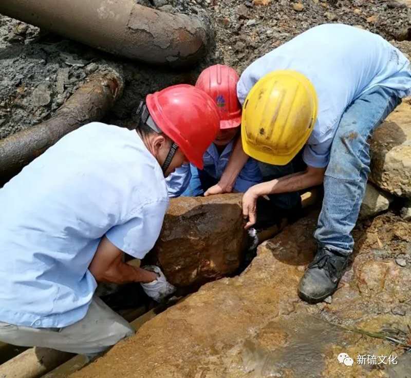 Z6·尊龙凯时「中国区」官方网站